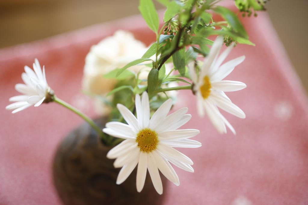Hotel Sun Urashima Yuki No Sato Toba Zewnętrze zdjęcie
